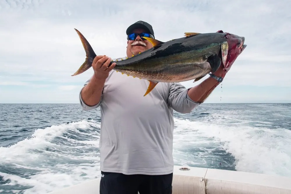 Tuna Fishing Turns into a Battle