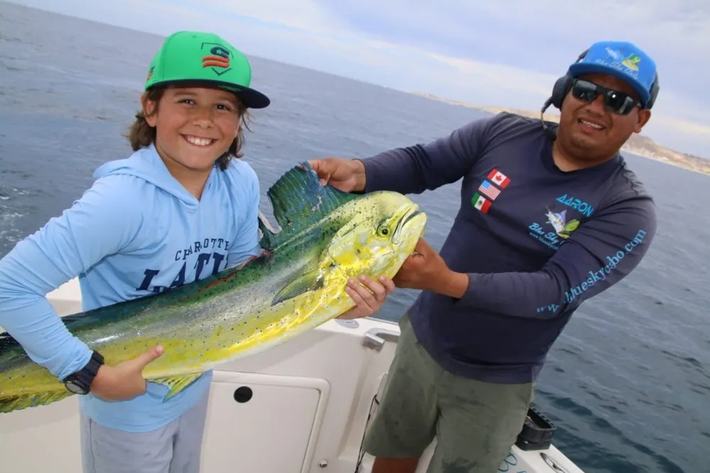 Yellowfin Tuna Put on a Fighting Display