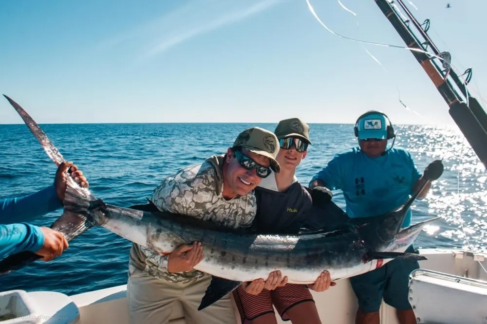 Striped Marlin Battle Royale!
