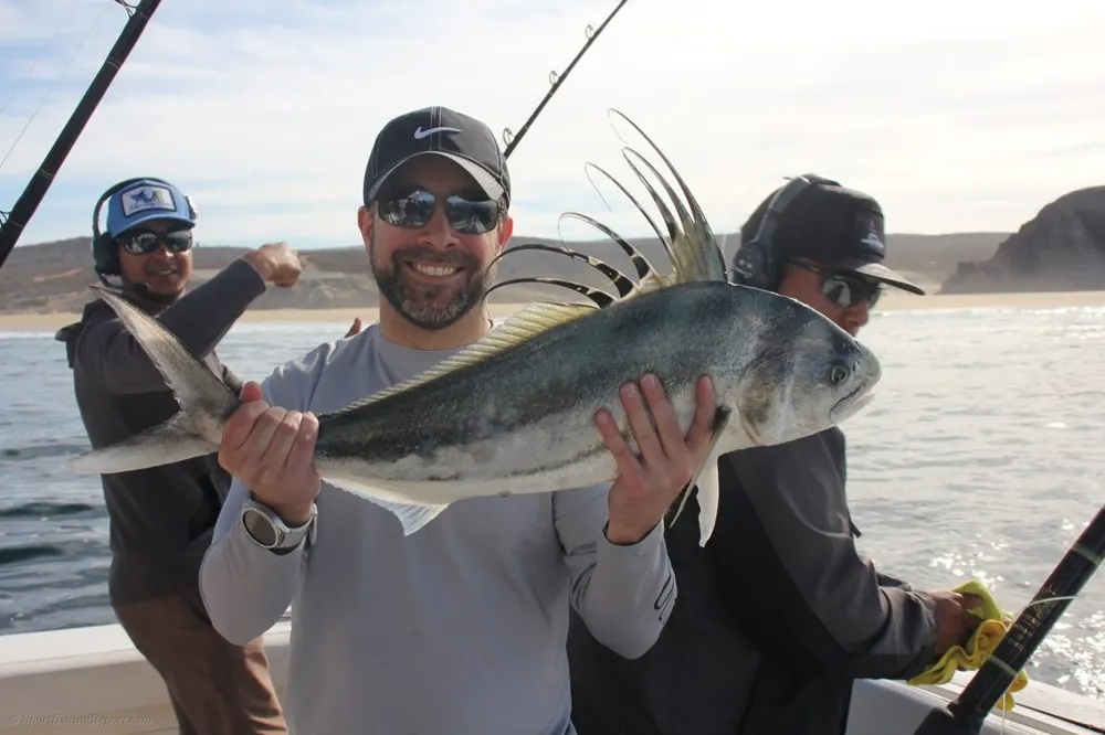 Roosterfish Action Delivers a Cabo Adventure