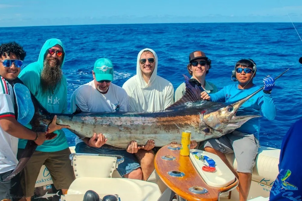 Marlin Mania Takes Over Cabo!