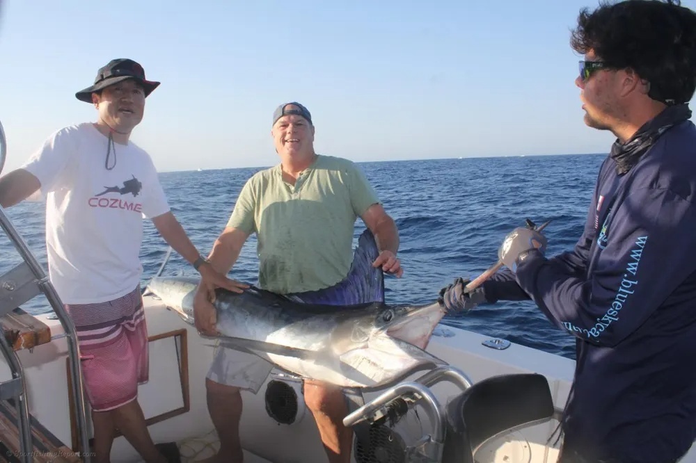 Cabo Marlin Adventure Takes Center Stage!