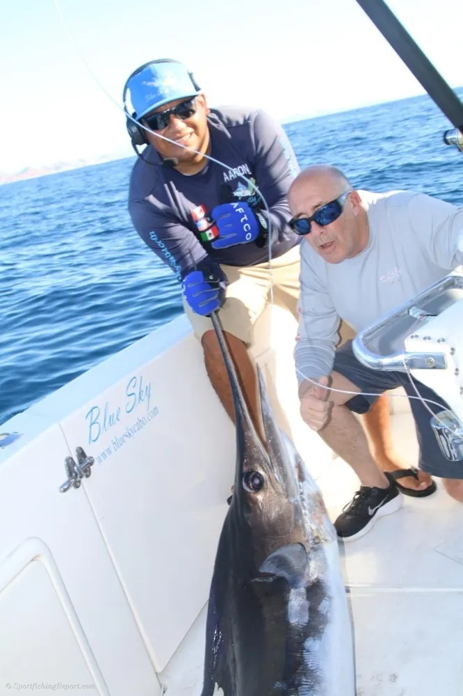 Cabo Marlin Action at Full Speed!
