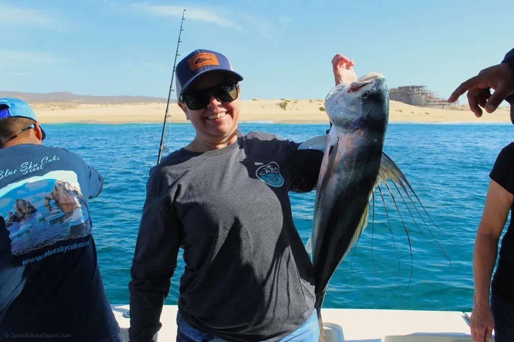 Cabo Roosterfish Action Tests the Anglers!