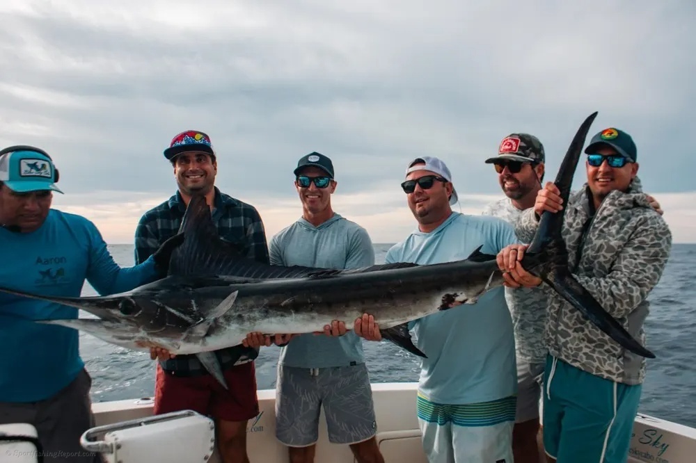 Striped Marlin, Screaming Reels!