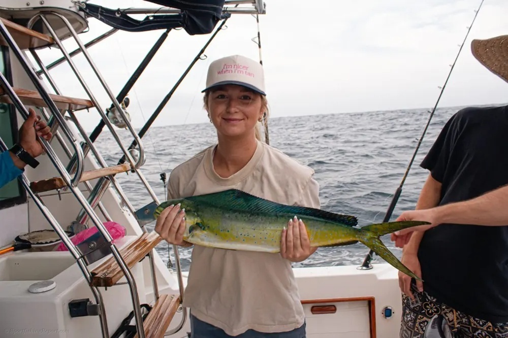 Golden Dorado Makes a Splash in Cabo!