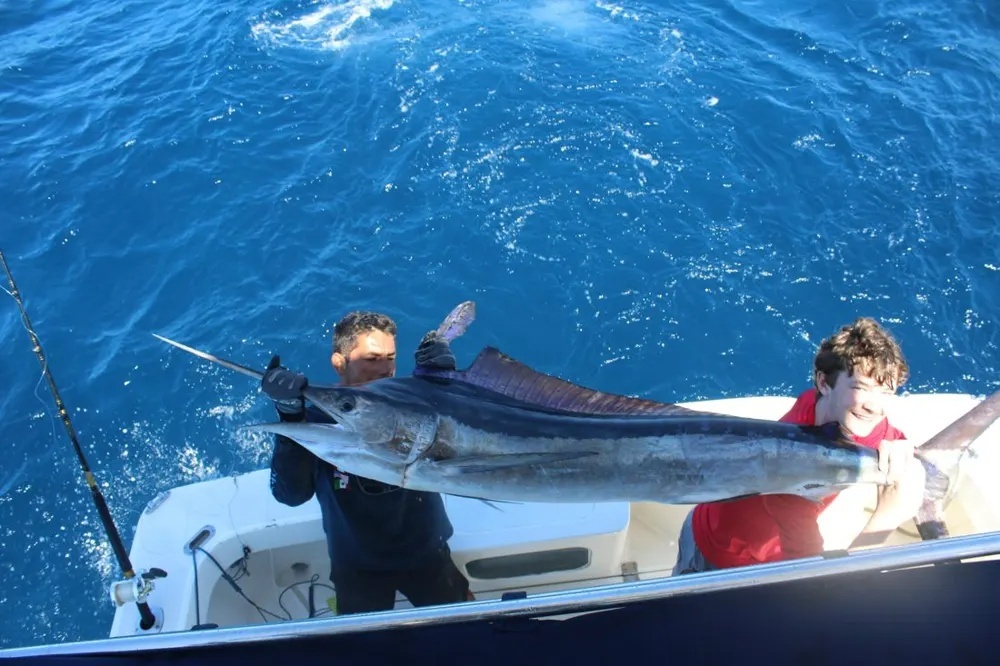 Marlin on the Line!