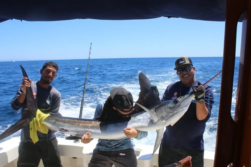 Striped Marlin Action Ignites Cabo!