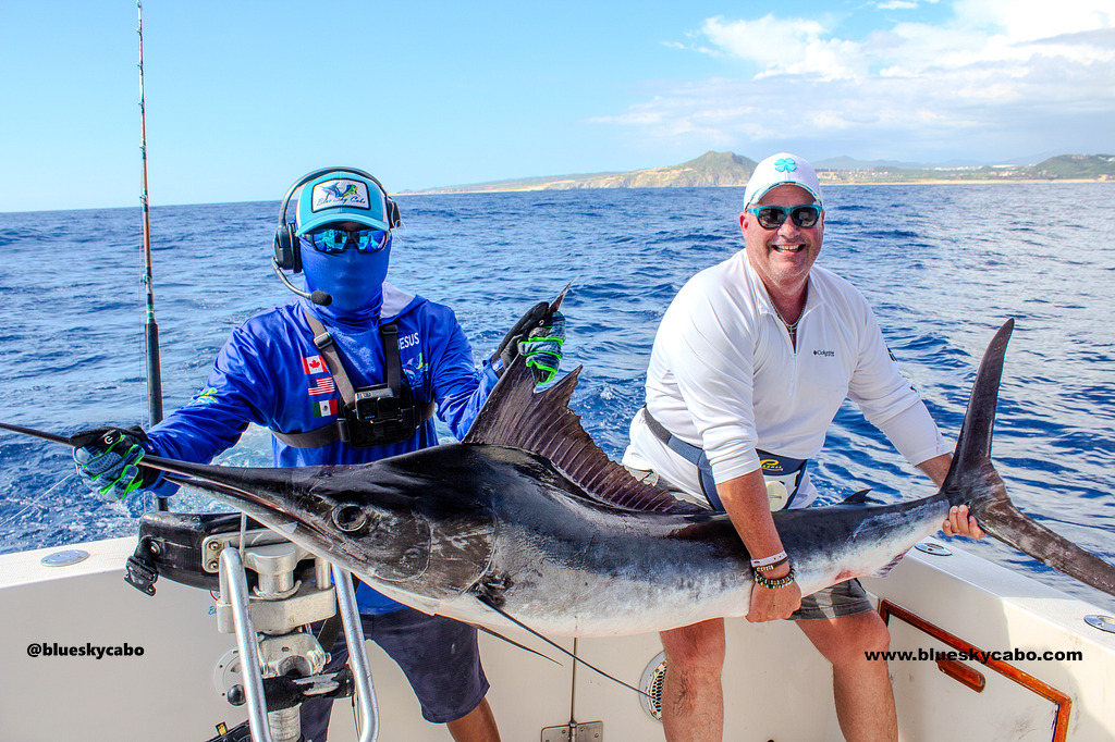 Marlin Success Under the Cabo Sunshine!
