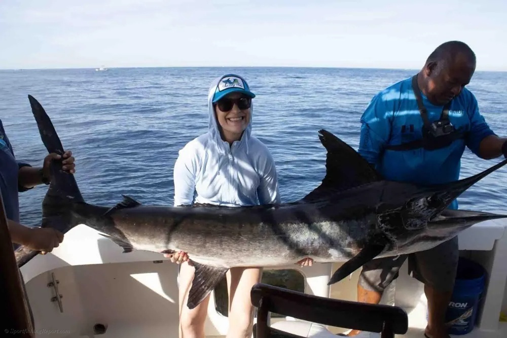 Striped Marlin Put on a Show!