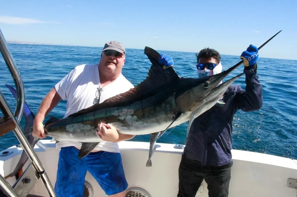 Blue Marlin Beast Takes the Bait!