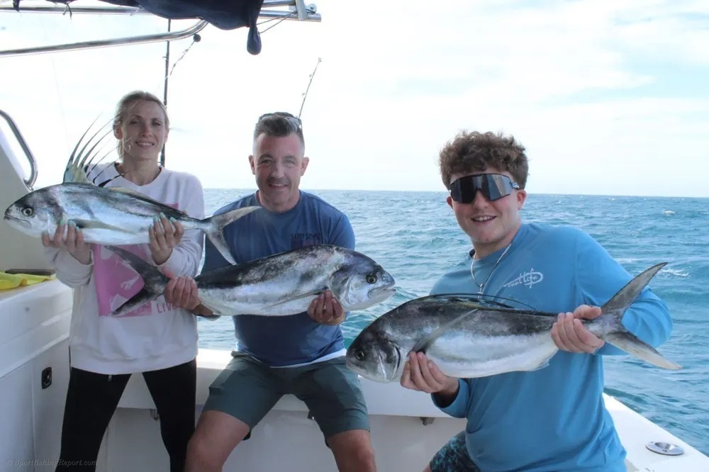 Cabo Roosters Bite Hits with Force