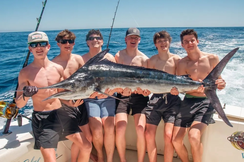Cabo's Ultimate Marlin Showdown!