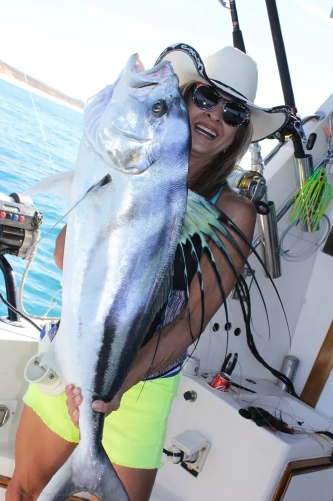 Roosterfish Action Unleashed in Cabo!