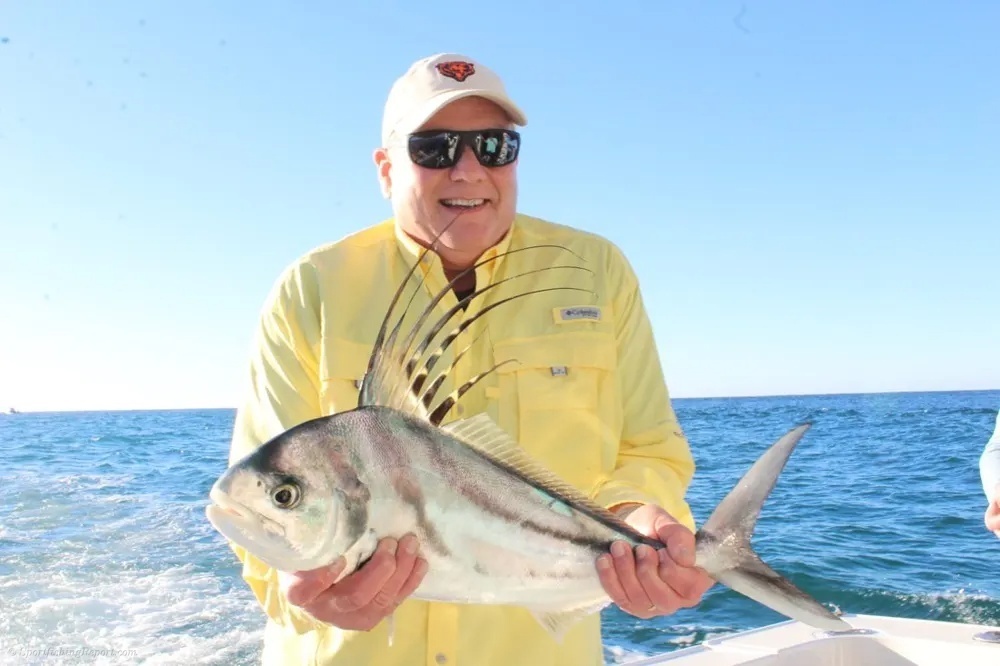 Roosterfish on the Line! Hold Tight!