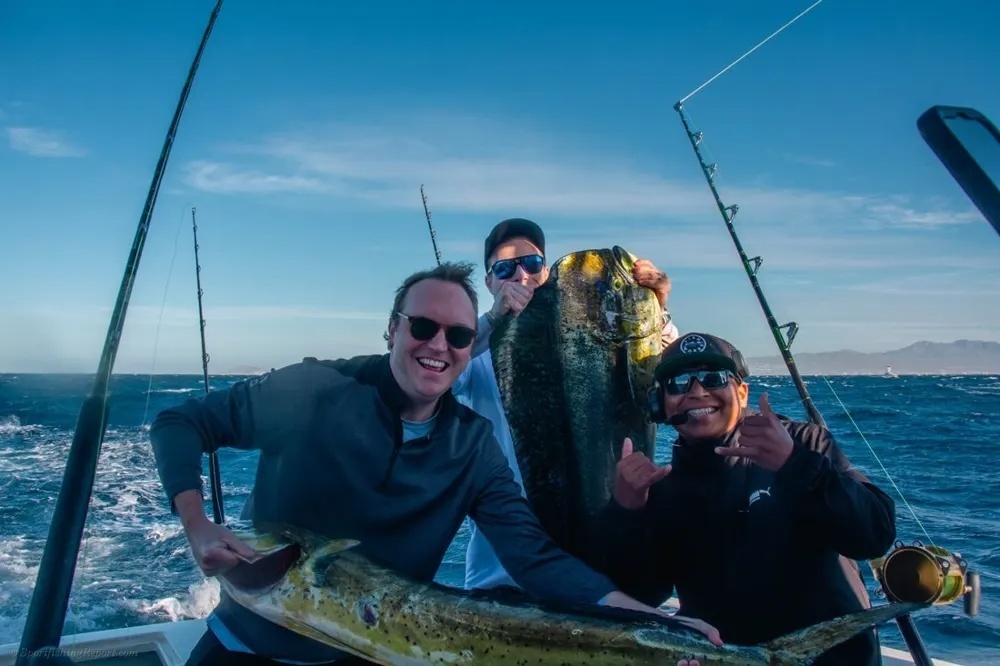 Offshore Dorado Action Worth Celebrating!