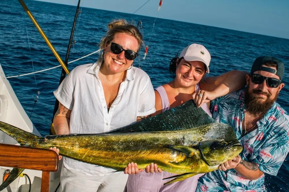 Dorado Action with Blue Sky Cabo