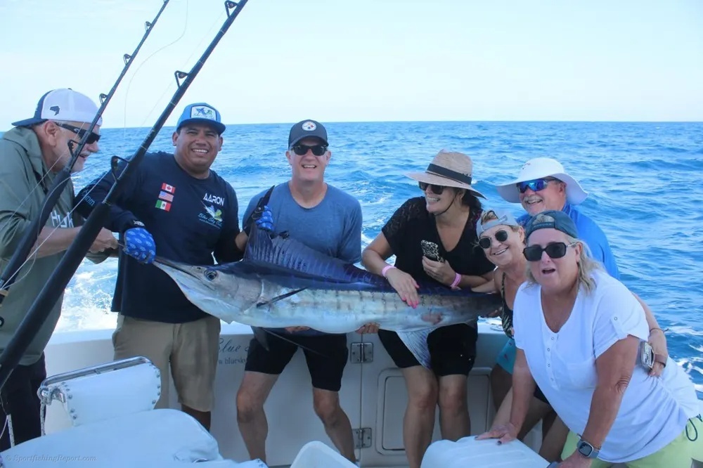 Marlin Encounters Make the Day Special!