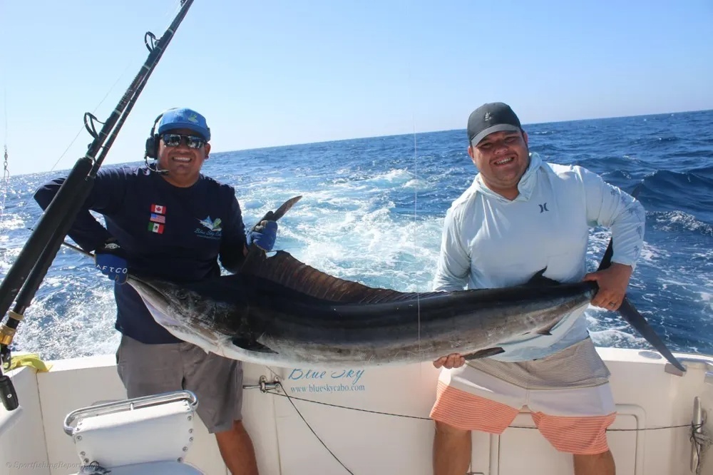 Monster Marlin Strikes in Cabo!