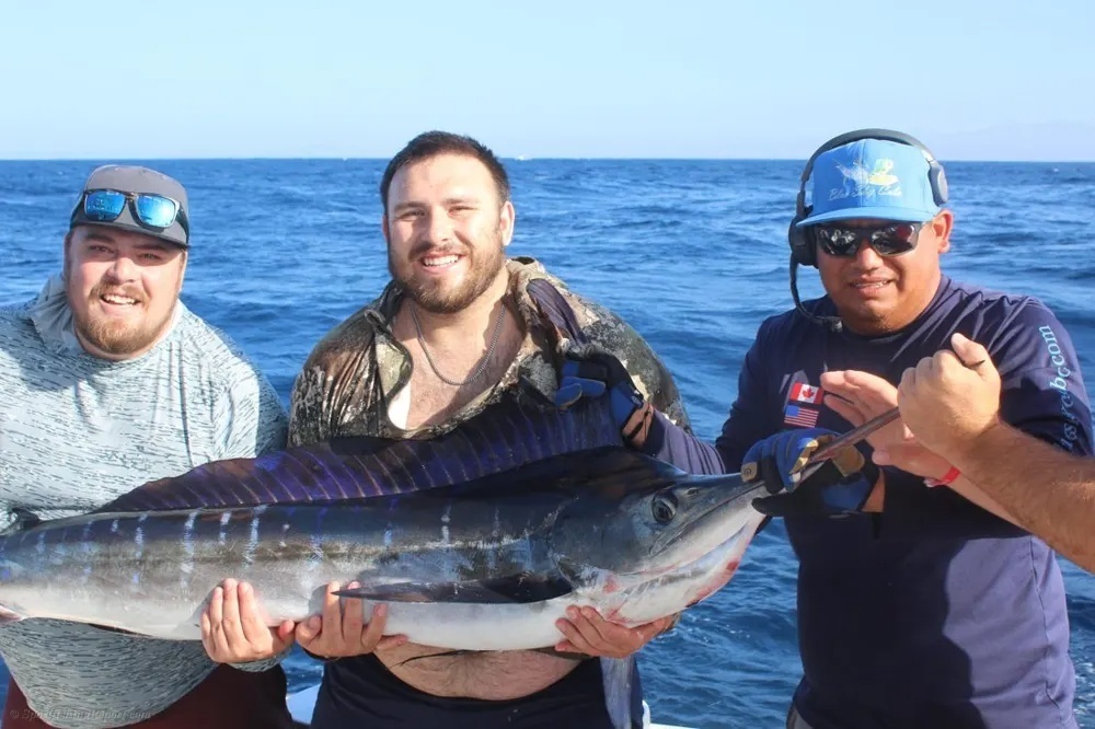 Marlin Strike! Hold On Tight!