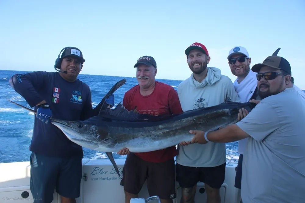 Cabo's Striped Marlin Go Wild!