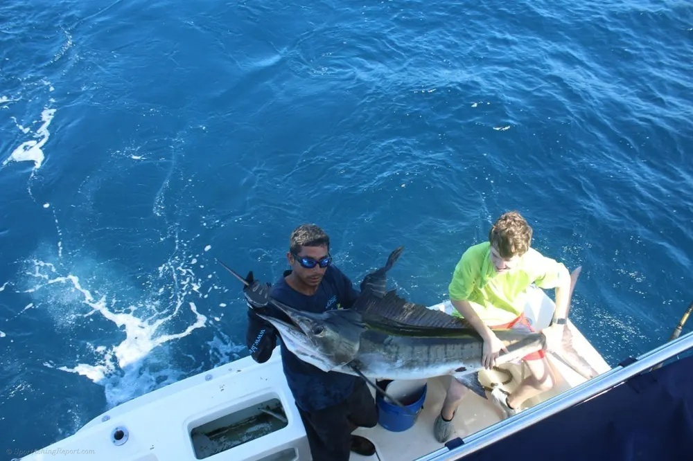 Screaming Drags, Jumping Marlin!