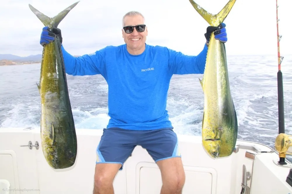 Marlin and Dorado – The Golden Catch Combination