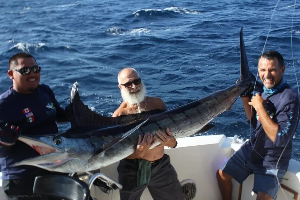 Cabo Marlin Glory! What a Catch!