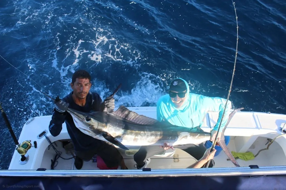 Giant Marlin, Epic Cabo Battle!