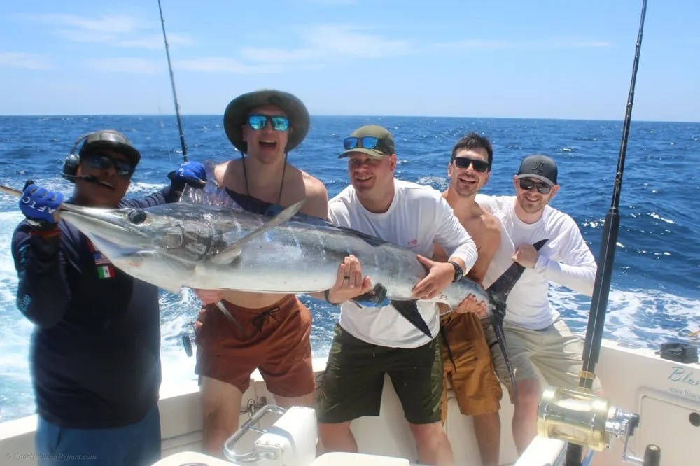 The Catching Continues