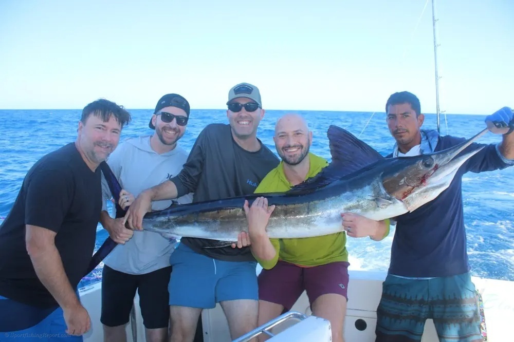 Striped Marlin Strike Again!