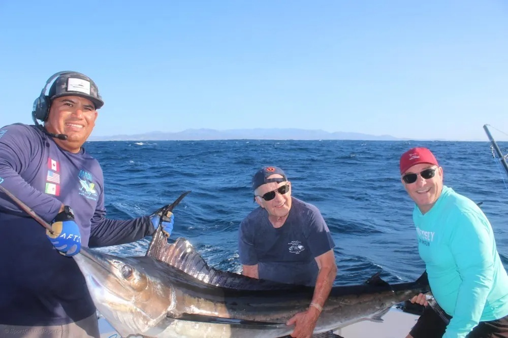 Marlin Power! Cabo's Offshore Giants!