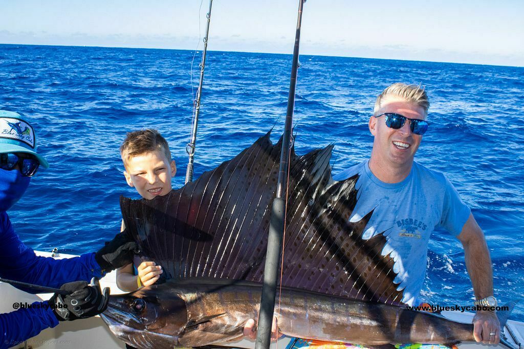 Sailfish Fishing Produces a Powerful Battle