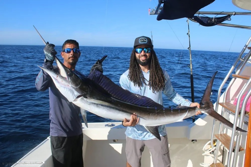 The Marlin Bite Is Absolutely Electric!