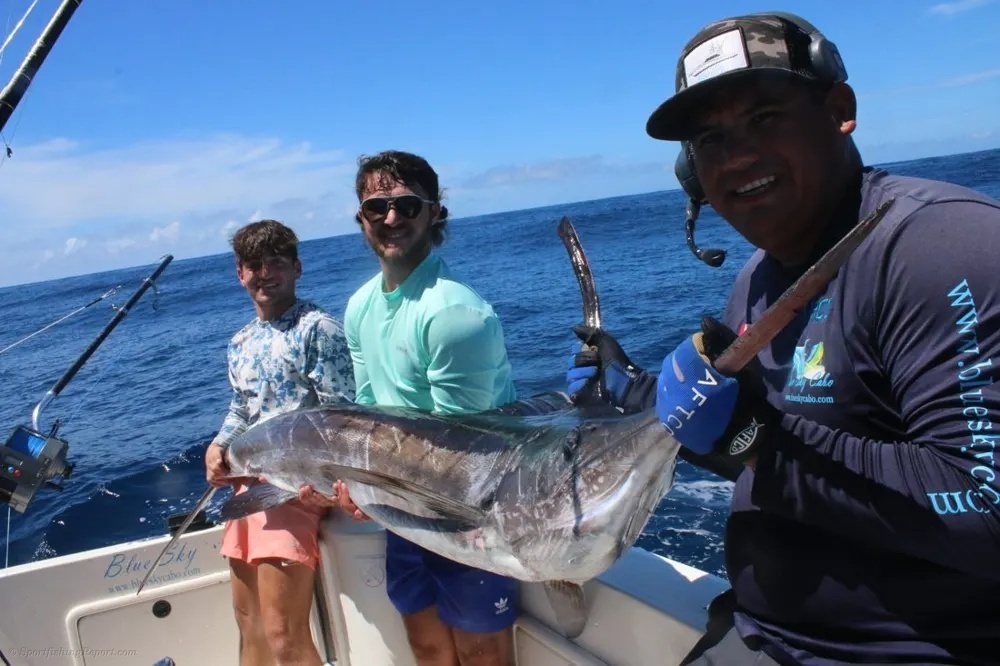 Marlin and Dorado – The Offshore Jackpot