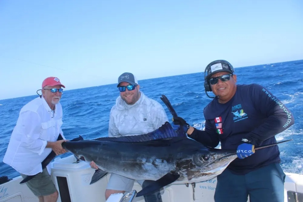 Striped Marlin Action at Its Finest!