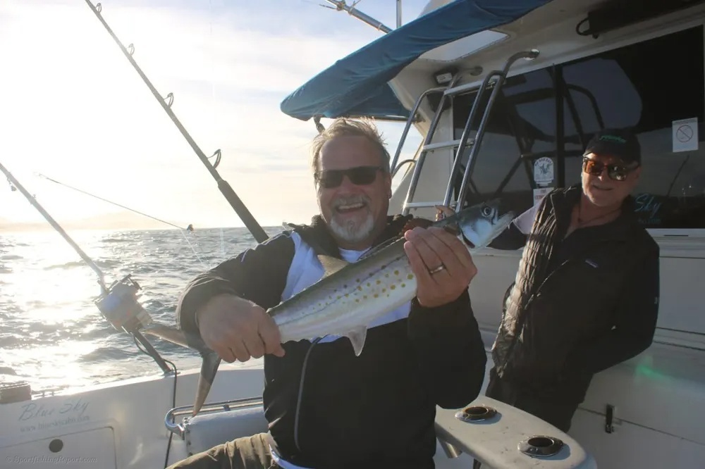 Cabo Tuna Bite Delivers a Strong Showing