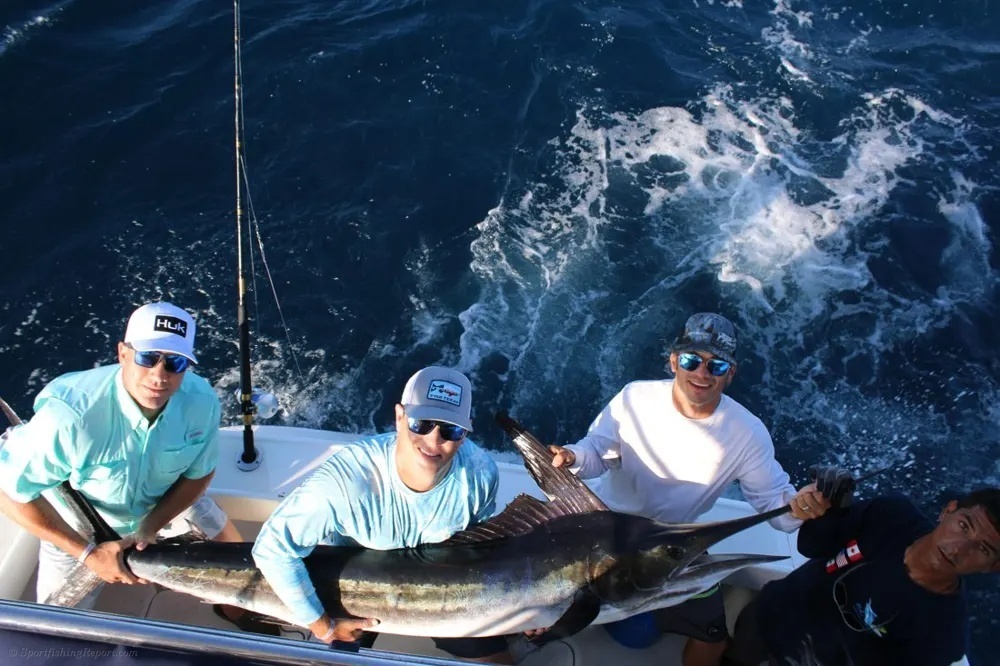 Screaming Reels Signal an Epic Marlin Battle off Cabo!