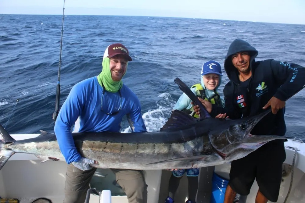 Marlin! Cabo Goes Absolutely Wild!