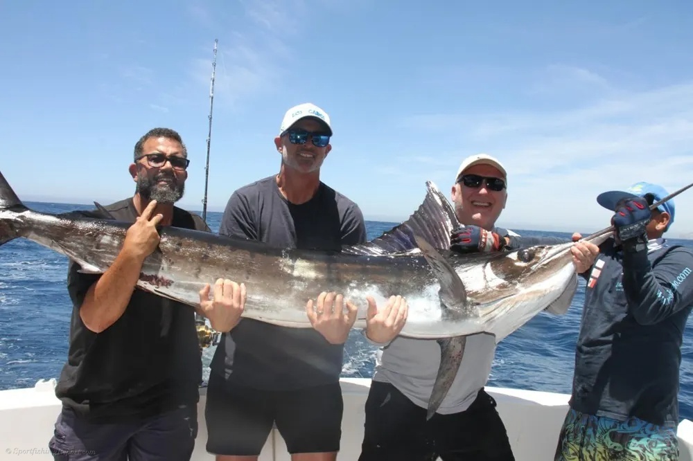 Three Marlin, Three Epic Fights!