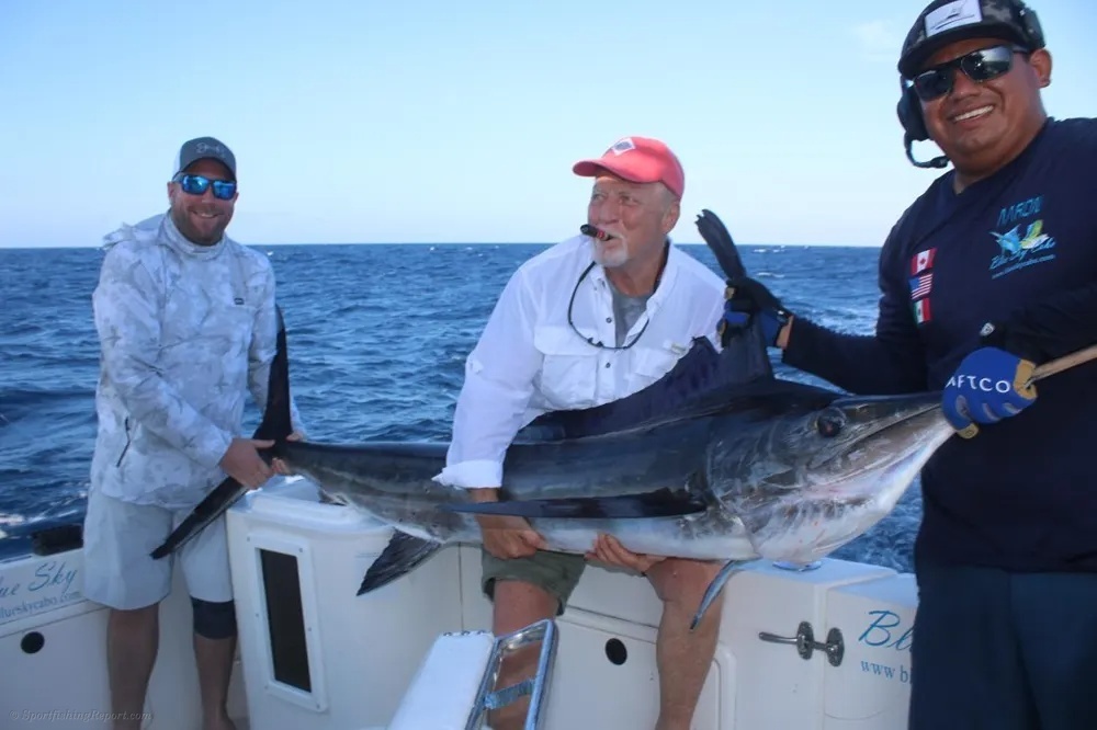Striped Marlin Bring the Heat!