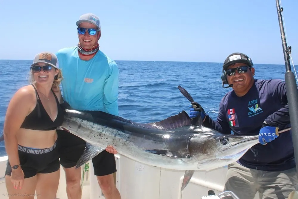 Striped Marlin Frenzy in Cabo!