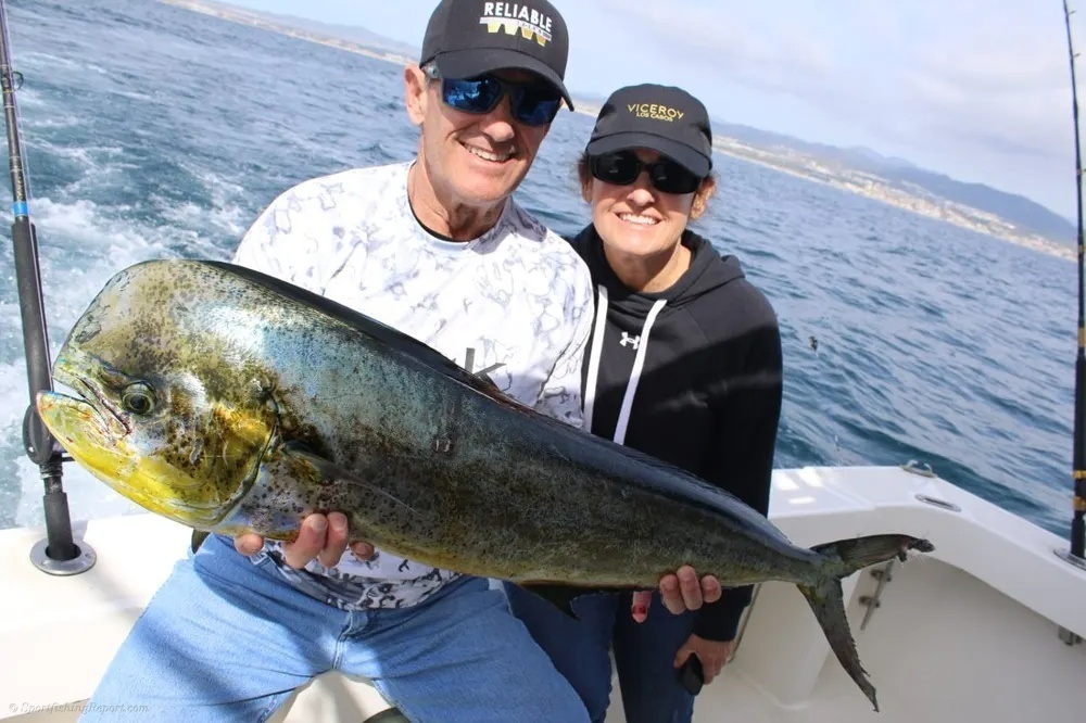 Dorado Gold Shines Beyond Land's End!