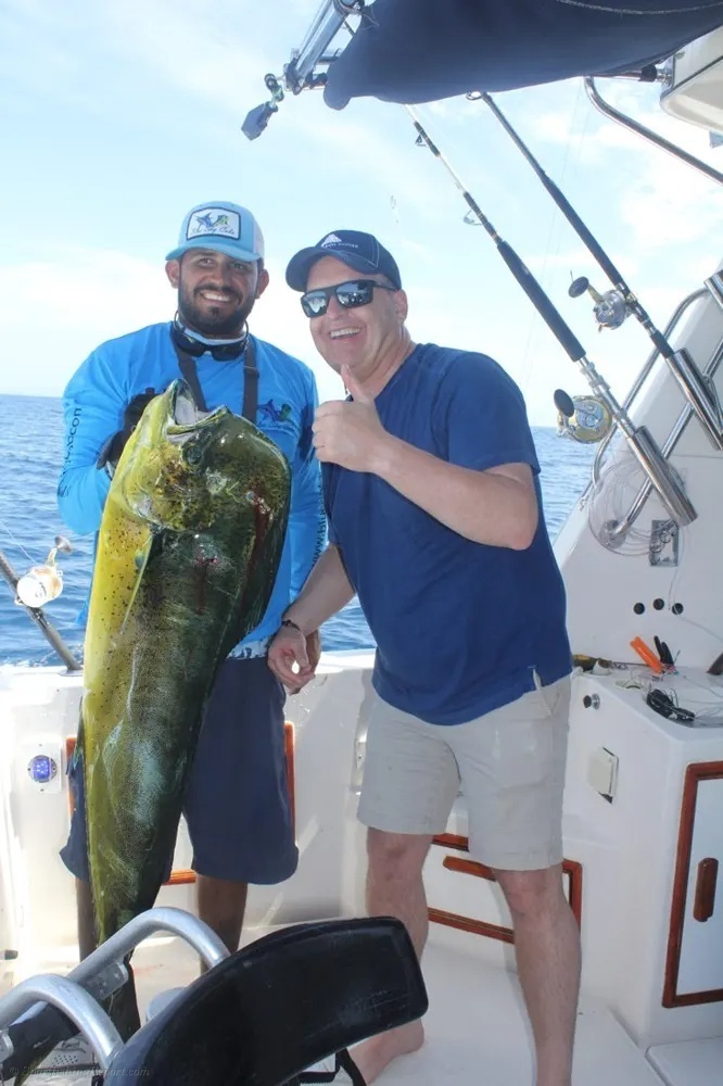 Marlin and Dorado – An Offshore Power Play
