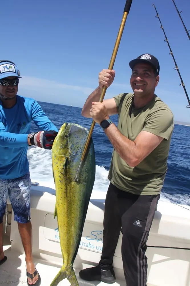 Dorado Hookup Brings the Fight!