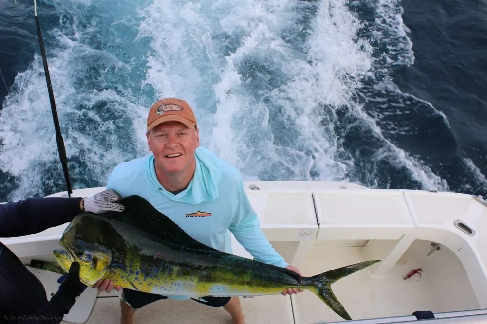 Marlin and Dorado – An Offshore Adventure Unleashed