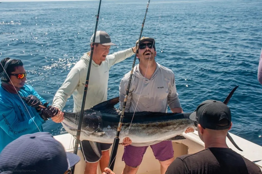 Anglers in Action