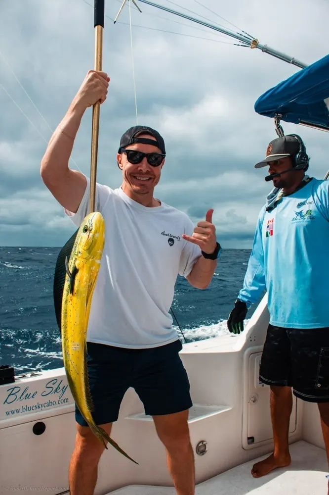 Golden Dorado Makes the Pacific Sparkle!