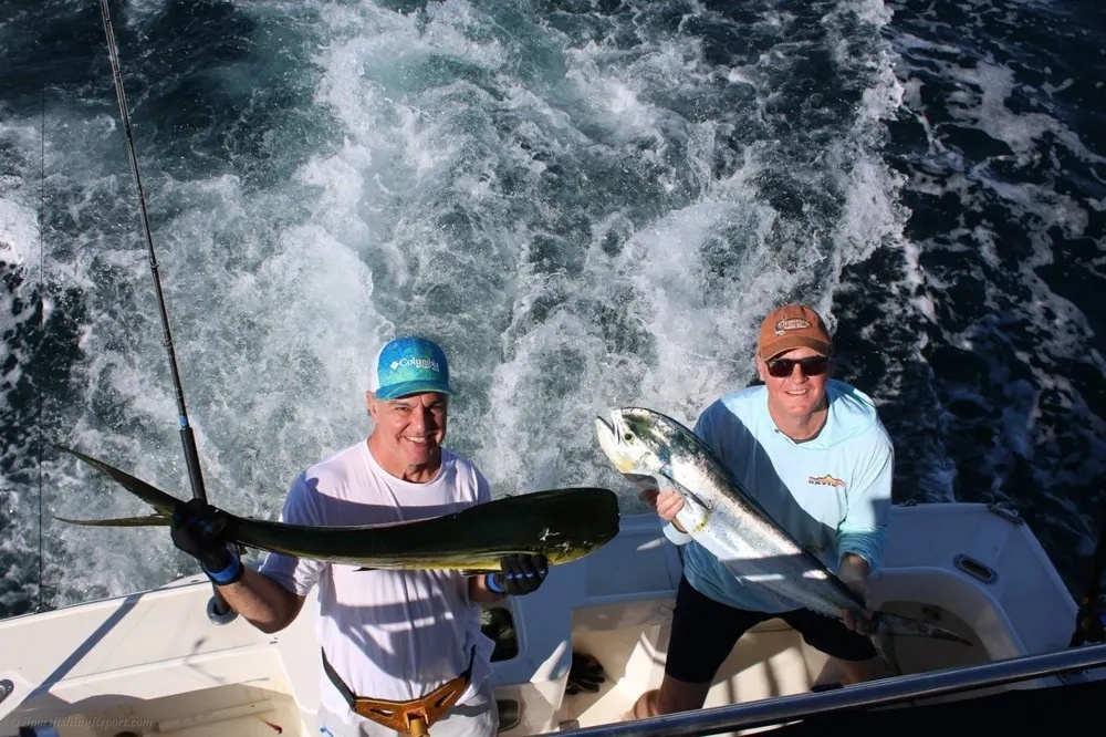 Dorado Madness and Tuna Offshore Energy