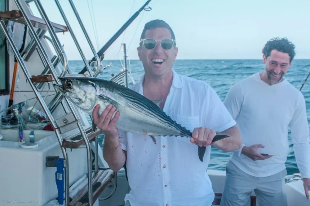 Cabo Tuna Action Brings the Offshore Thrills